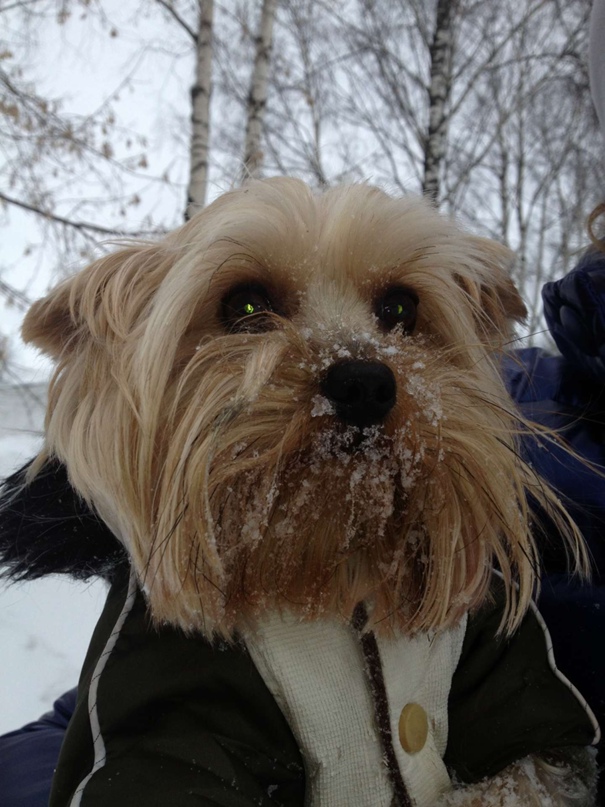 Елена Сахарова | Череповец