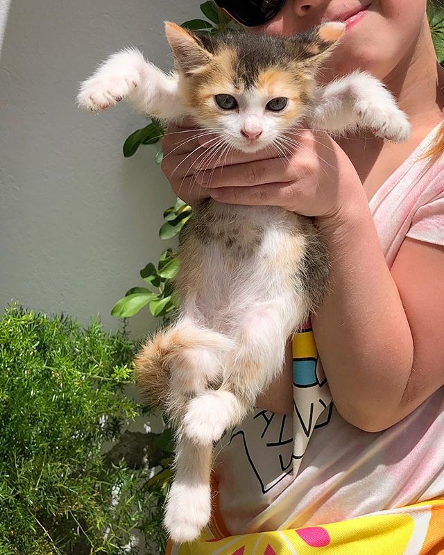 Наталья Домрачева | Йошкар-Ола