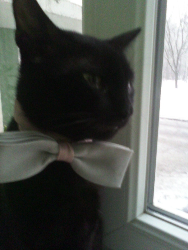 Екатерина Черных | Кривой Рог