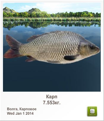 Дмитрий Корецкий | Днепр (Днепропетровск)