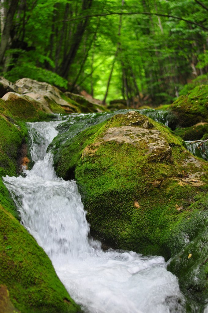Мария Молокова | Севастополь