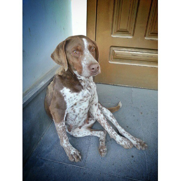 Арина Ваганова | Санкт-Петербург