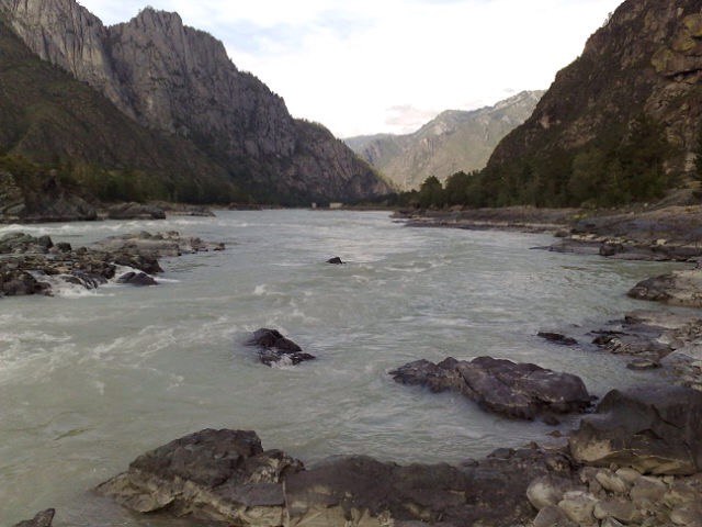 Сергей Немцев | Томск