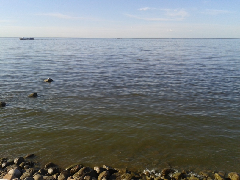 Юлия Морозова ++малыш++ | Балашиха