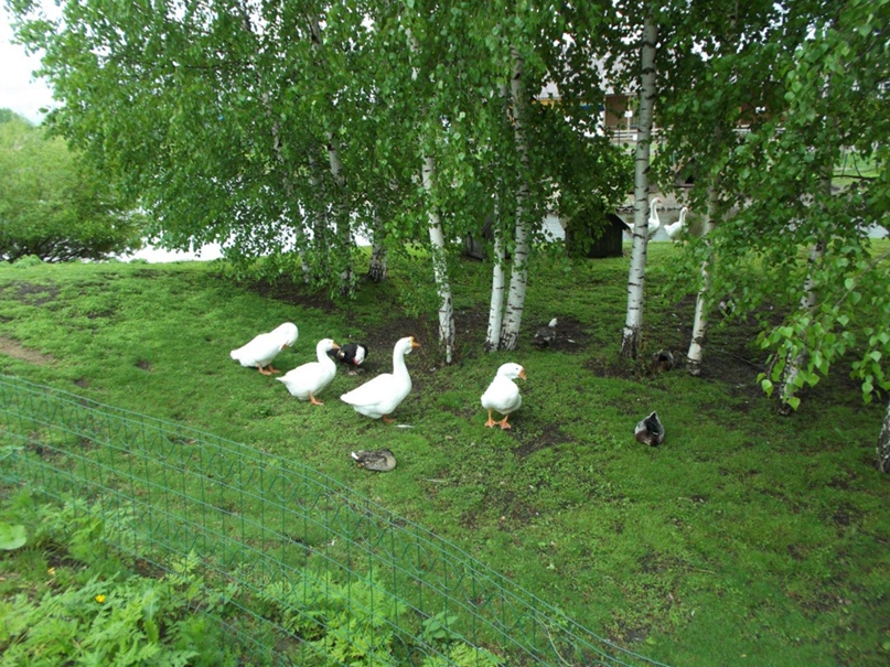 Саня Сергеев С@ныч | Бежецк