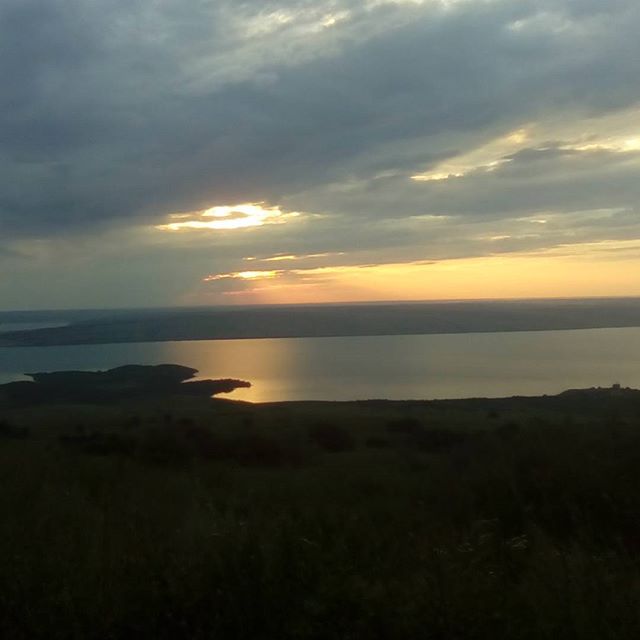 Ольга Дмитриева | Санкт-Петербург