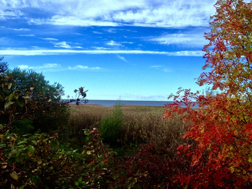 Алексей Виноградов |