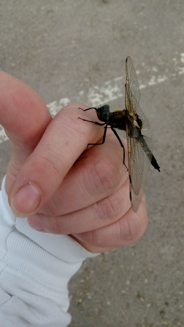 Ирина Жукова | Чебоксары