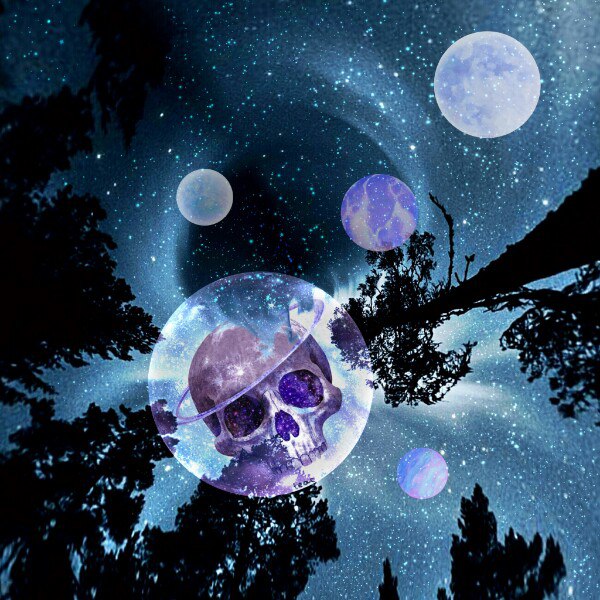 Вероника Василькова |