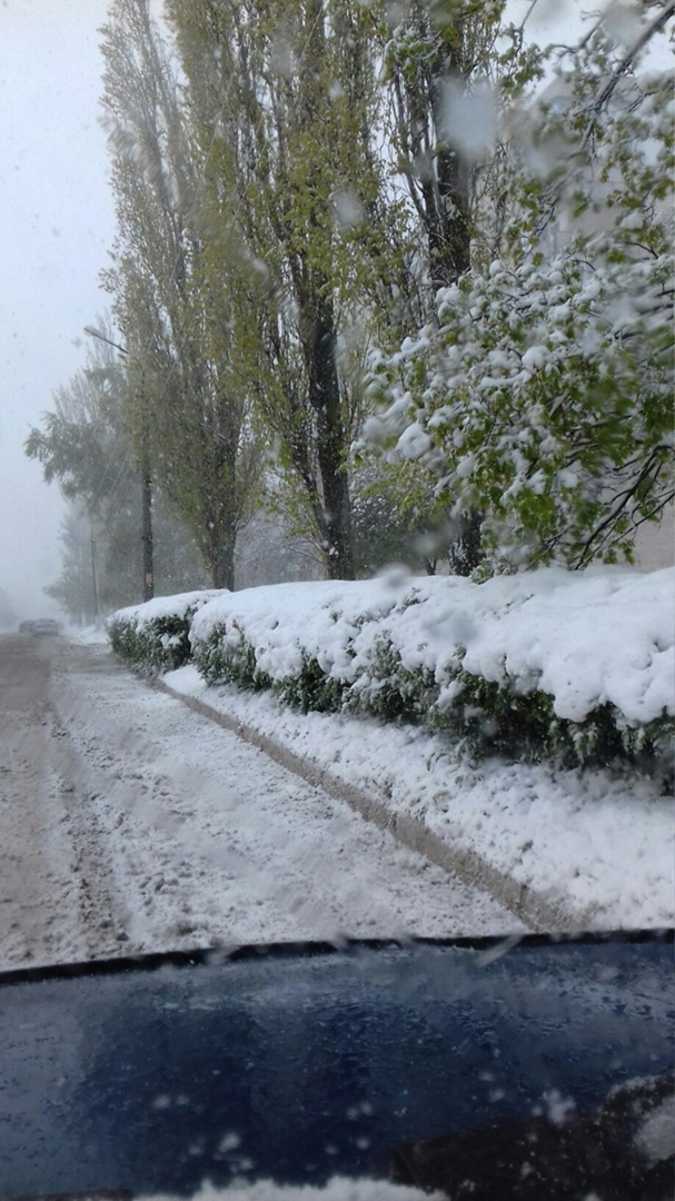 Олег Стеценко | Первомайск
