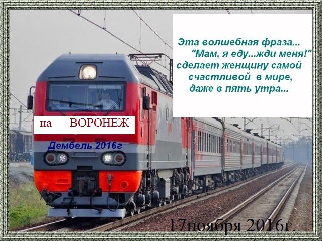 Алексей Крылов | Воронеж
