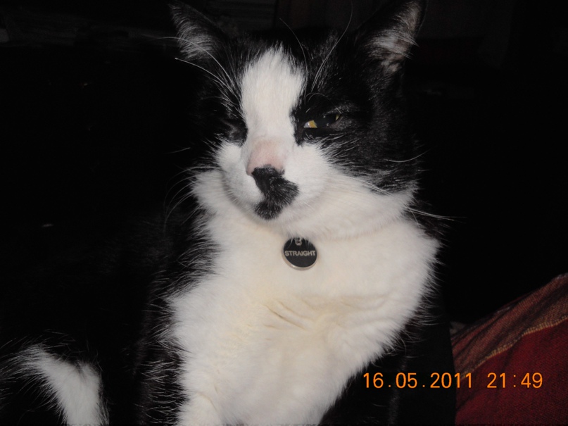 Ольга Арапова | Барнаул