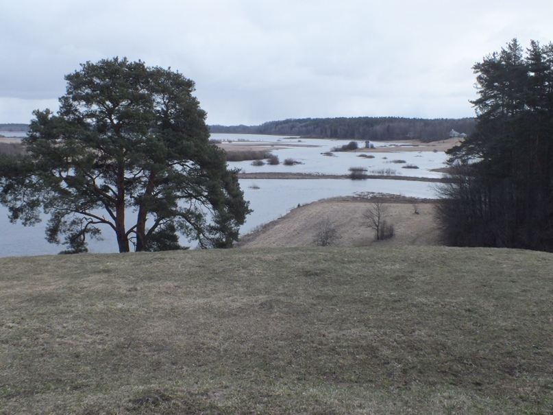 Нина Крылова | Кириши (деревня)