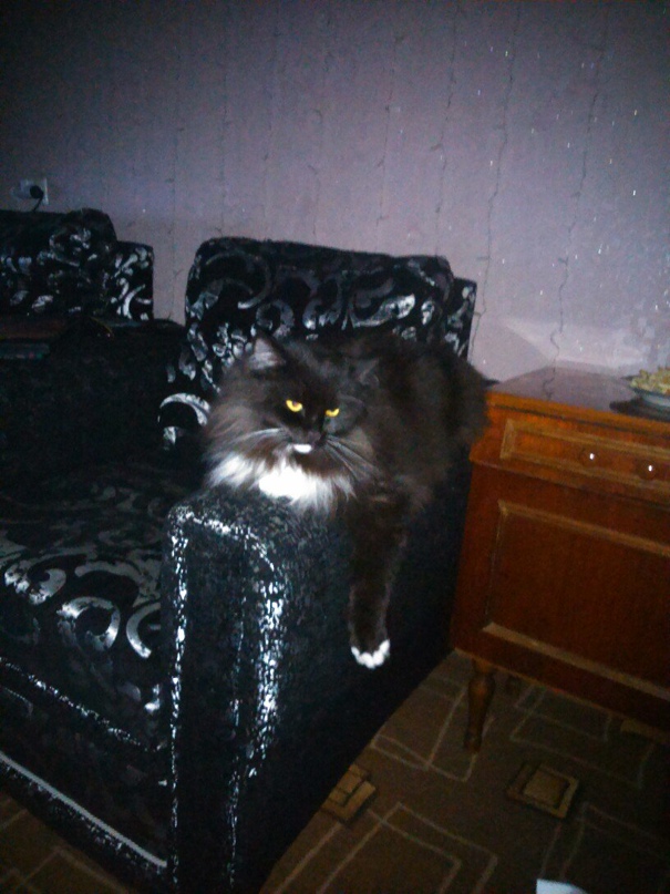 Наталья Казначеева | Энгельс