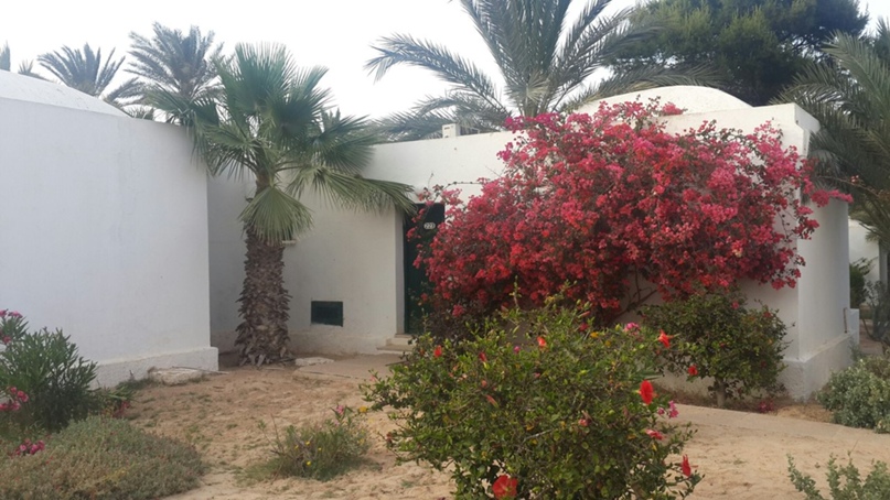 Елена Васильева | Великий Новгород