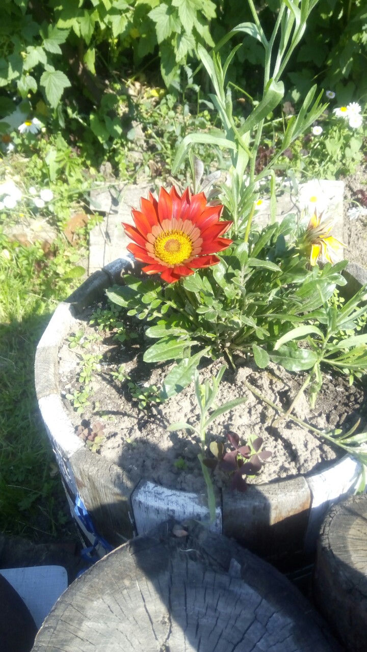 Наталия Харитонова | Череповец