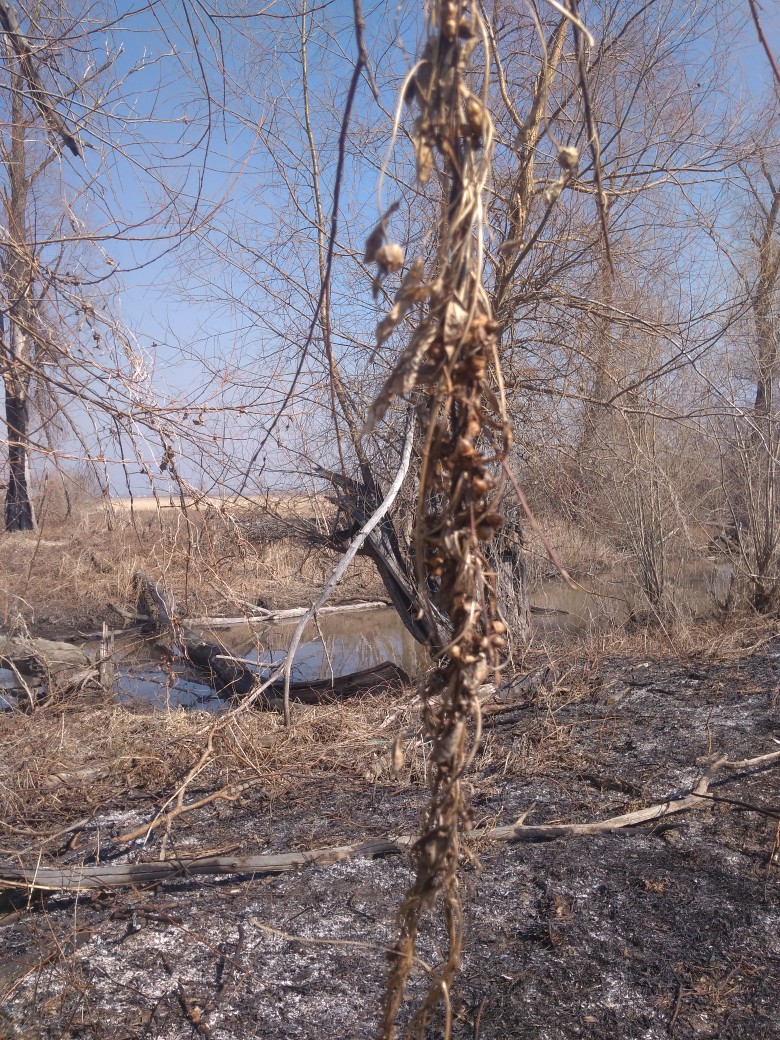 Анна Бурыкина | Барнаул