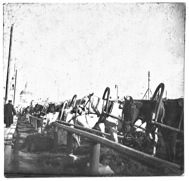 Маргарита Тихомирова | Вологда