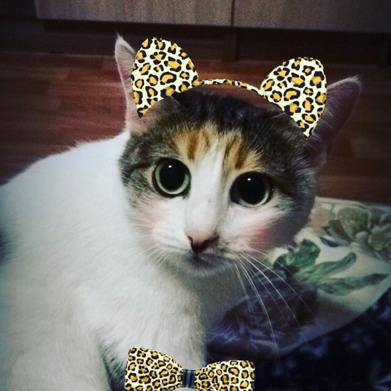 Ирина Швецова | Балаково