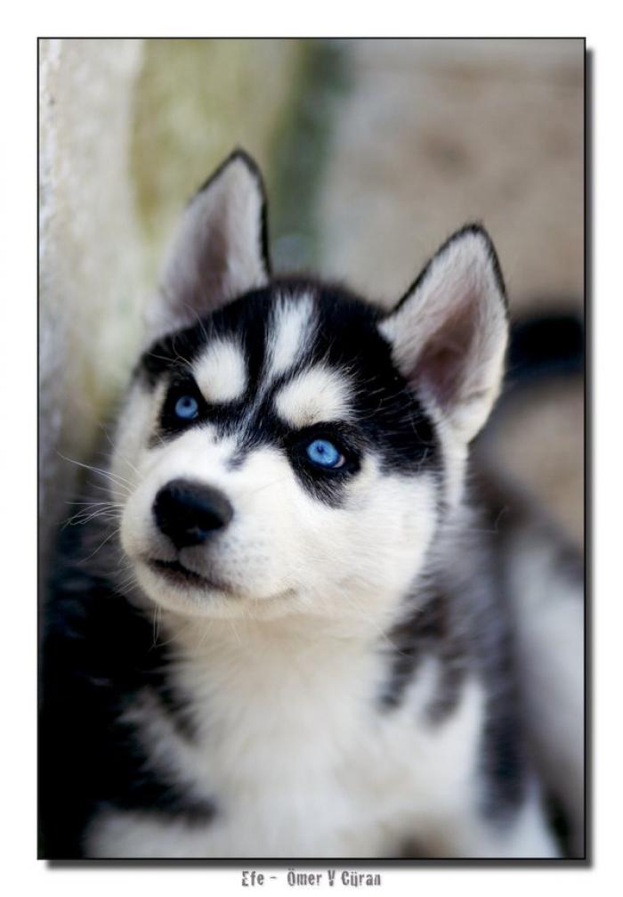 Олег Кузнецов L.E.D. | Астрахань