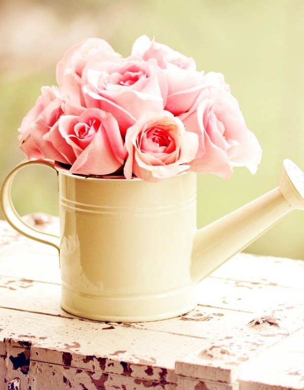 Анна Ищенко | Херсон