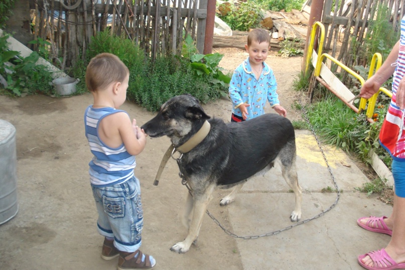 Евгения Гоголева Кошка | Томск