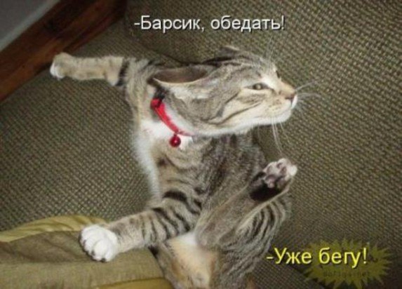 Антон Лазарев | Малая Вишера