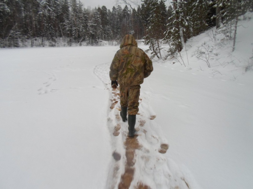 Никита Исаков | Санкт-Петербург