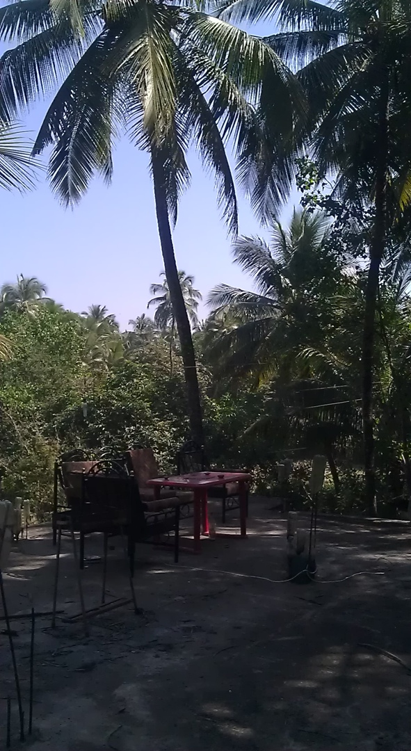 Артем Александрович | Москва