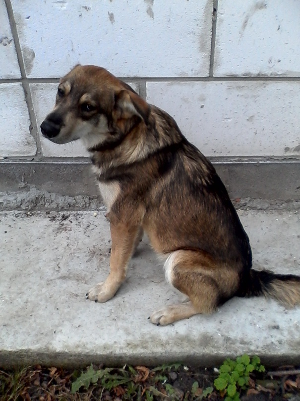 Роман Корниенко | Киев