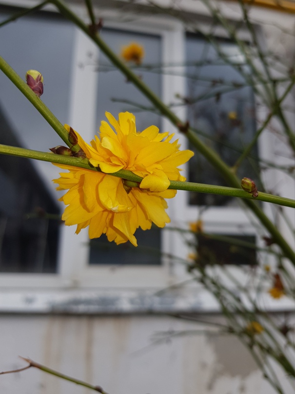 Анна Барсукова | Тольятти