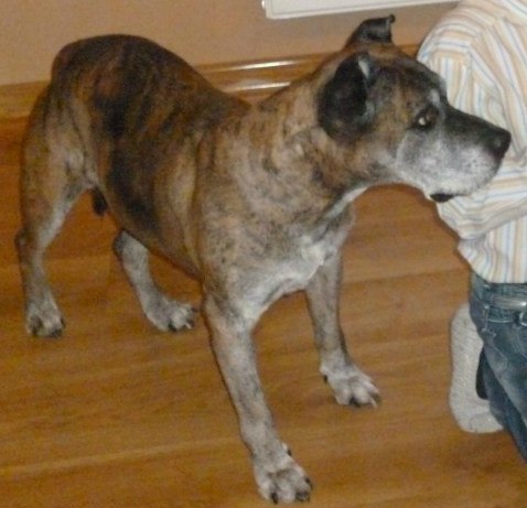 Леонид Соловьев | Калининград