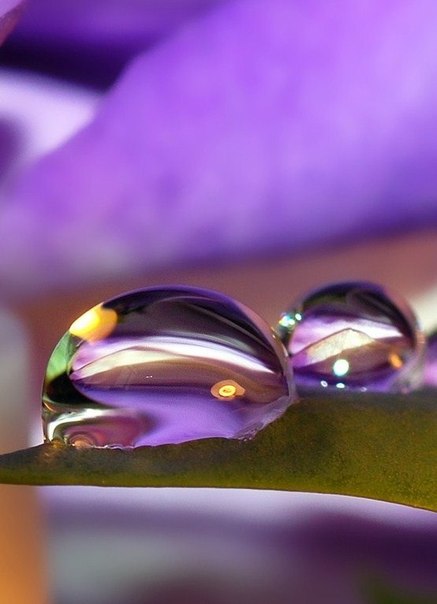 Ольга Калугина | Таганрог