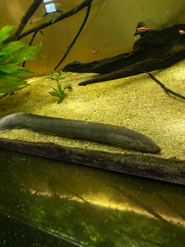 Андрюха Кузнецов | Москва