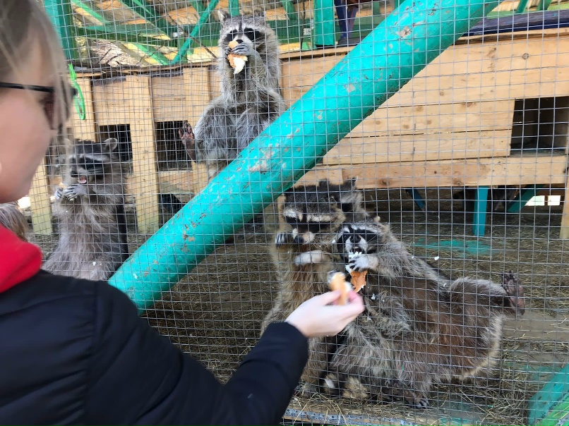 Юлия Суркова | Тверь