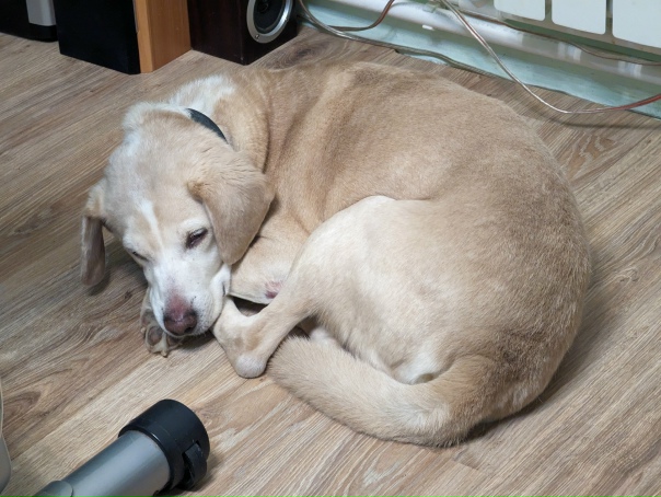 Админу спасибо и добра!?Переславль, репост,...