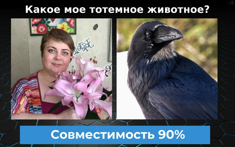 Елена Самохвалова | Сургут
