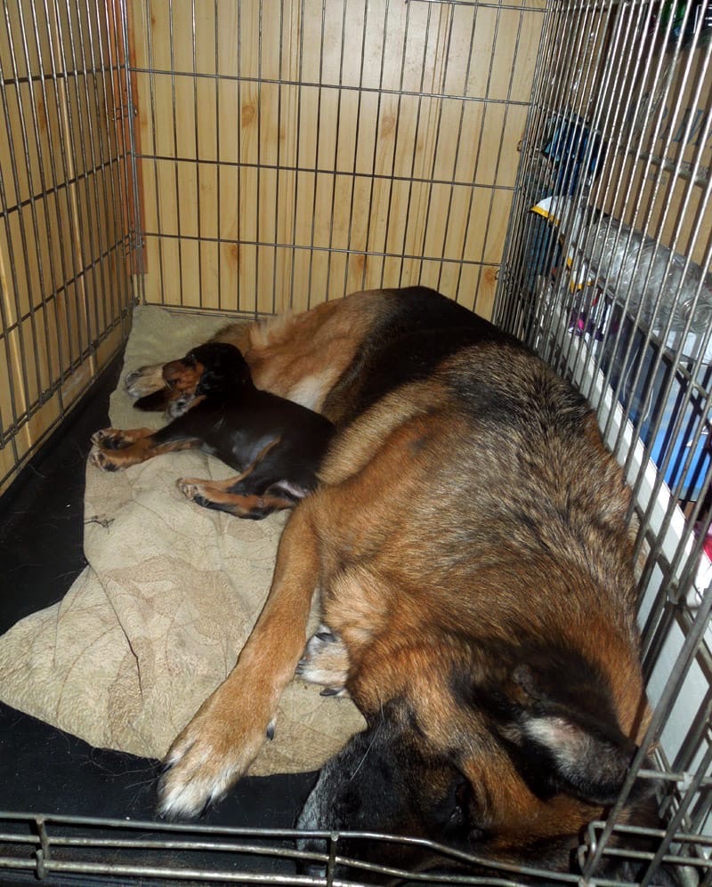 Марина Богатырь | Санкт-Петербург