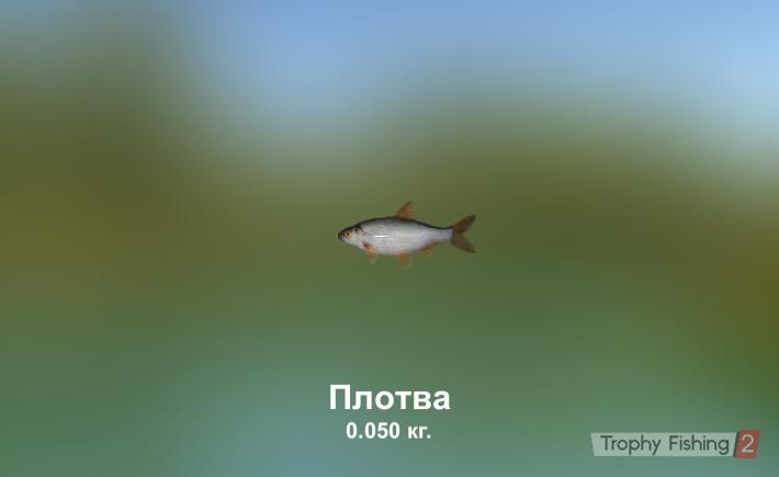 Василий Ширяев |