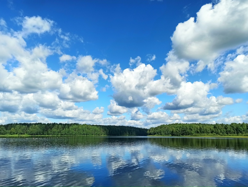 Марина Антоненко | Санкт-Петербург