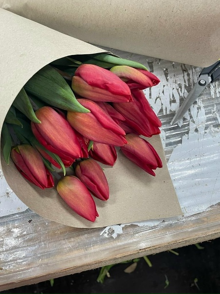 Принимаю заказы на тюльпаны к 8 марта ,50 руб за шт,упаковка бесплатная ,тел 89010421099