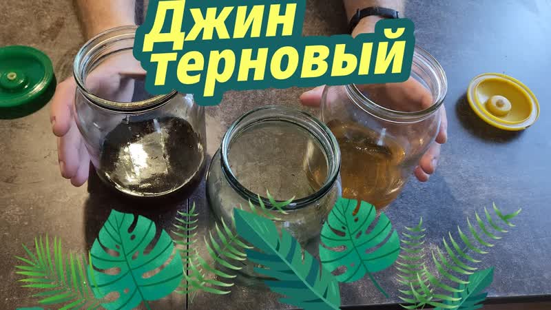 Отличный терновый