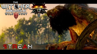 Ищем плотоядную птичку ➤ The Witcher 3: Wild Hunt | STREAM #08