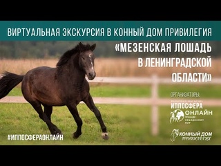 Виртуальная экскурсия КД Привилегия