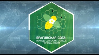 Инициатива “Брагинская сота: помощь сельскому бизнесу, помощь людям“