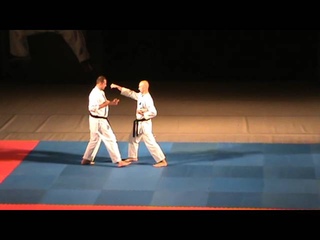 IOGKF Ukrain. Euro-Asian Gashuku. 2012