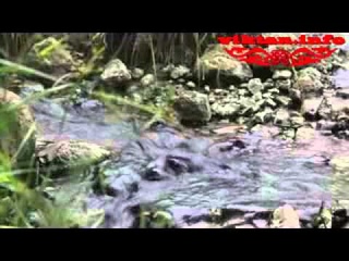 Музыка дождя и воды.