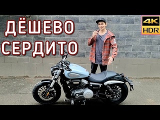 Самый дешевый мотоцикл 2024| Обзор Benda Chinchilla 300|Китайский круизер с V-твином