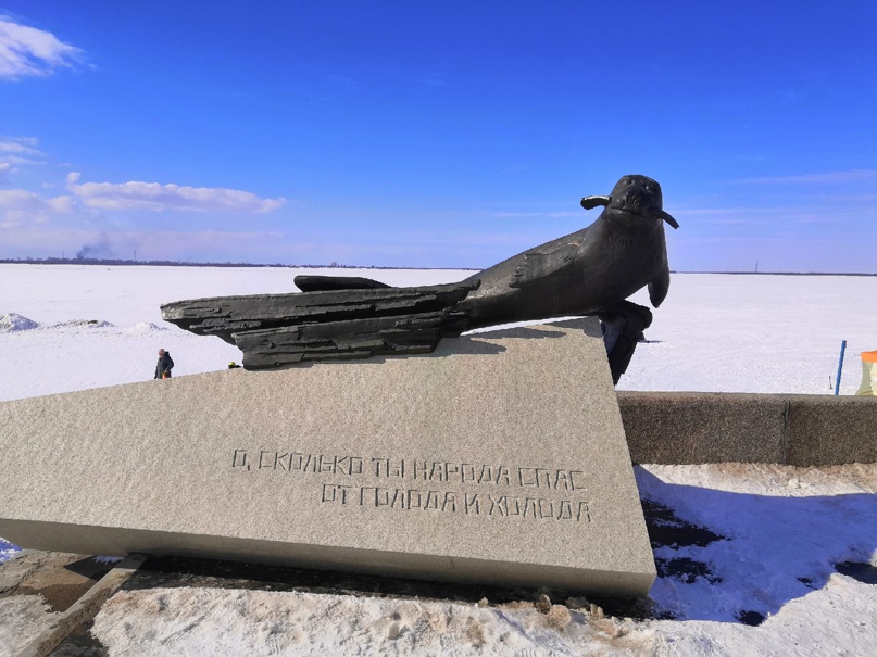 Сергей Селезнев | Санкт-Петербург