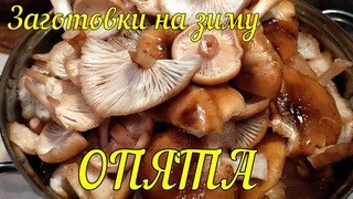 ЖАРЕНЫЕ ОПЯТА на ЗИМУ- СУПЕР простой рецепт!!!